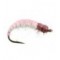 Czech Nymph Pink White Back