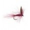 CDC Claret Winged Dry