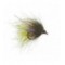 Galloups UV Caddis Pupa Olive