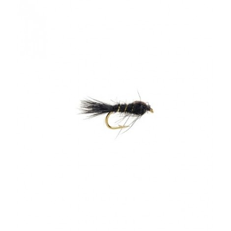 Gold Ribbed Hares Ear Black
