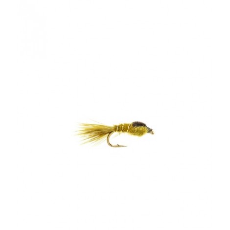 Gold Ribbed Hares Ear Olive