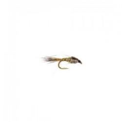 Gold Ribbed Hares Ear