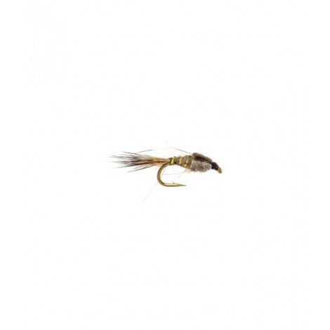 Gold Ribbed Hares Ear