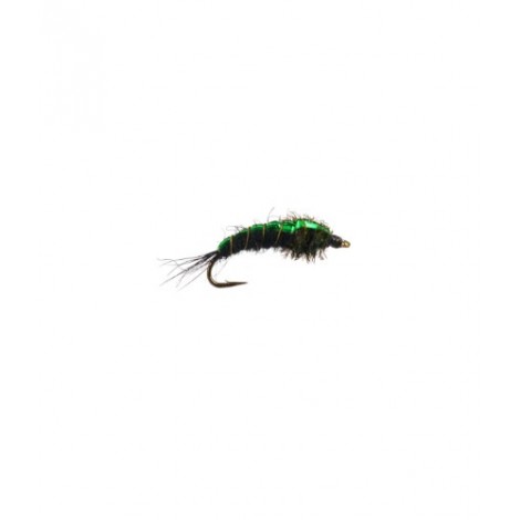 Green Back Peacock Nymph