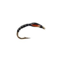 Holo Buzzer Black Curved