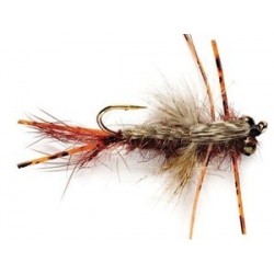 Mays Identity Crisis Orange