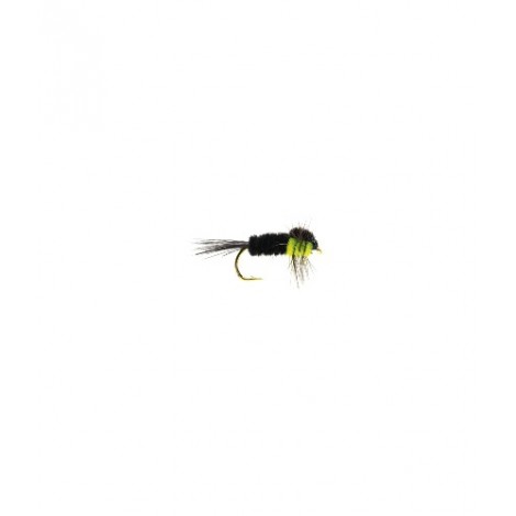 Montana green fluorescent