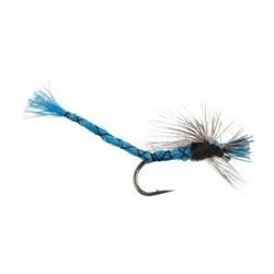 Damsel Blue Parachute