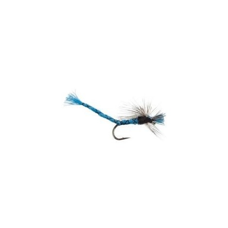 Damsel Blue Parachute
