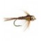 Pheasant Tail Green