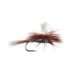 Dark Cahill Parachute