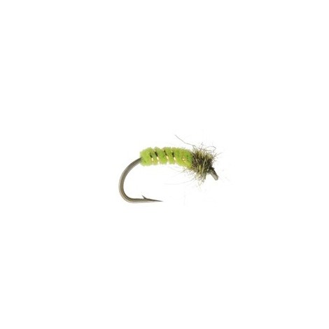 Schmidts Caddis Larva Olive
