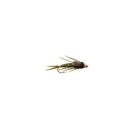 Stonefly Olive