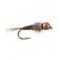 TB Pheasant Tail