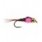 TB Tactical Pheasant Tail Pink Collar