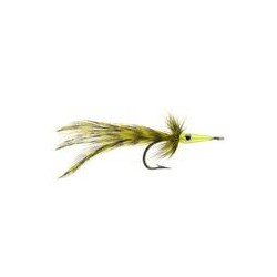 Tarpon Master Olive