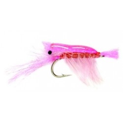 Ultra Shrimp Pink