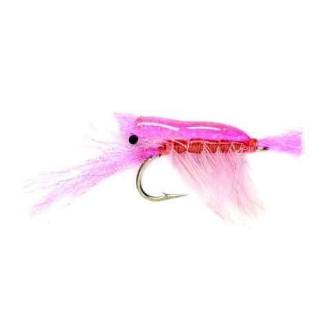 Ultra Shrimp Pink