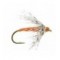 Soft Hackle Orange
